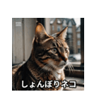 ニヤリ猫（個別スタンプ：3）