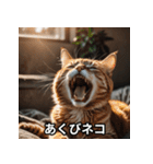 ニヤリ猫（個別スタンプ：5）