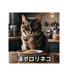 ニヤリ猫（個別スタンプ：8）