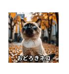 ニヤリ猫（個別スタンプ：9）