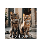 ニヤリ猫（個別スタンプ：10）