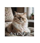 ニヤリ猫（個別スタンプ：15）