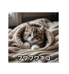 ニヤリ猫（個別スタンプ：30）