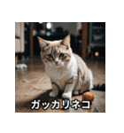 ニヤリ猫（個別スタンプ：31）