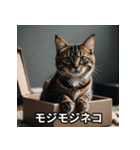 ニヤリ猫（個別スタンプ：34）