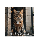 ニヤリ猫（個別スタンプ：35）