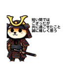 武士柴（個別スタンプ：10）