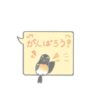 ふきだしきびたき（個別スタンプ：17）