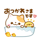 毎日ねこねこ♡にゃんこ（個別スタンプ：12）