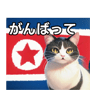 北朝鮮を愛するネコ（個別スタンプ：11）