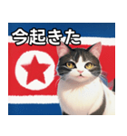 北朝鮮を愛するネコ（個別スタンプ：13）