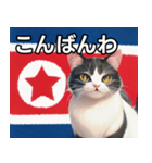 北朝鮮を愛するネコ（個別スタンプ：18）