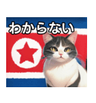 北朝鮮を愛するネコ（個別スタンプ：30）