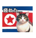 北朝鮮を愛するネコ（個別スタンプ：31）