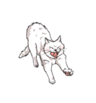 あいされねこ2（個別スタンプ：8）