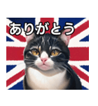 イギリスを愛するネコ（個別スタンプ：3）