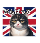 イギリスを愛するネコ（個別スタンプ：11）