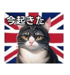 イギリスを愛するネコ（個別スタンプ：13）