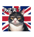 イギリスを愛するネコ（個別スタンプ：16）