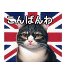 イギリスを愛するネコ（個別スタンプ：18）