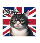 イギリスを愛するネコ（個別スタンプ：31）