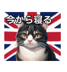 イギリスを愛するネコ（個別スタンプ：34）