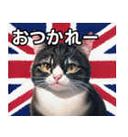 イギリスを愛するネコ（個別スタンプ：35）