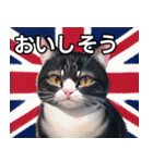 イギリスを愛するネコ（個別スタンプ：40）