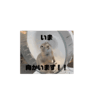 動物たちの日常会話1（個別スタンプ：15）