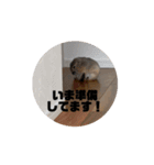 動物たちの日常会話1（個別スタンプ：16）