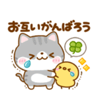 ポカポカ春♡ねこねこにゃんこ（個別スタンプ：10）