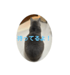 RIRI＆RON⑪（個別スタンプ：1）