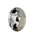RIRI＆RON⑪（個別スタンプ：2）