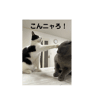 RIRI＆RON⑪（個別スタンプ：5）