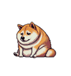 無言で伝える太っちょ柴犬（個別スタンプ：7）