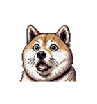 無言で伝える太っちょ柴犬（個別スタンプ：9）