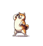 無言で伝える太っちょ柴犬（個別スタンプ：11）