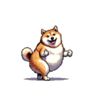 無言で伝える太っちょ柴犬（個別スタンプ：12）