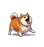 無言で伝える太っちょ柴犬（個別スタンプ：18）