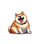 無言で伝える太っちょ柴犬（個別スタンプ：19）