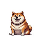 無言で伝える太っちょ柴犬（個別スタンプ：20）