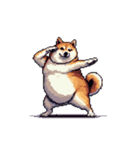無言で伝える太っちょ柴犬（個別スタンプ：26）