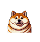 無言で伝える太っちょ柴犬（個別スタンプ：29）