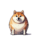 無言で伝える太っちょ柴犬（個別スタンプ：30）