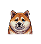 無言で伝える太っちょ柴犬（個別スタンプ：33）