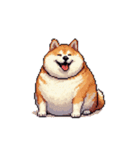 無言で伝える太っちょ柴犬（個別スタンプ：34）