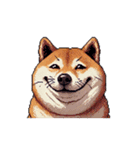 無言で伝える太っちょ柴犬（個別スタンプ：36）
