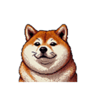 無言で伝える太っちょ柴犬（個別スタンプ：38）