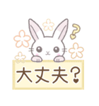 毎日使える☆うさぎさん（個別スタンプ：31）