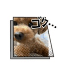 プたろ－スタンプ（個別スタンプ：3）